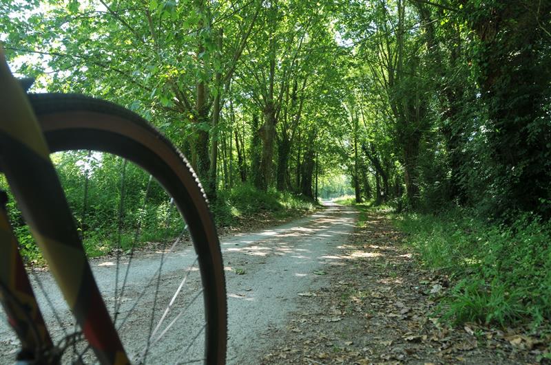 La voie verte de Pau à Narcastet