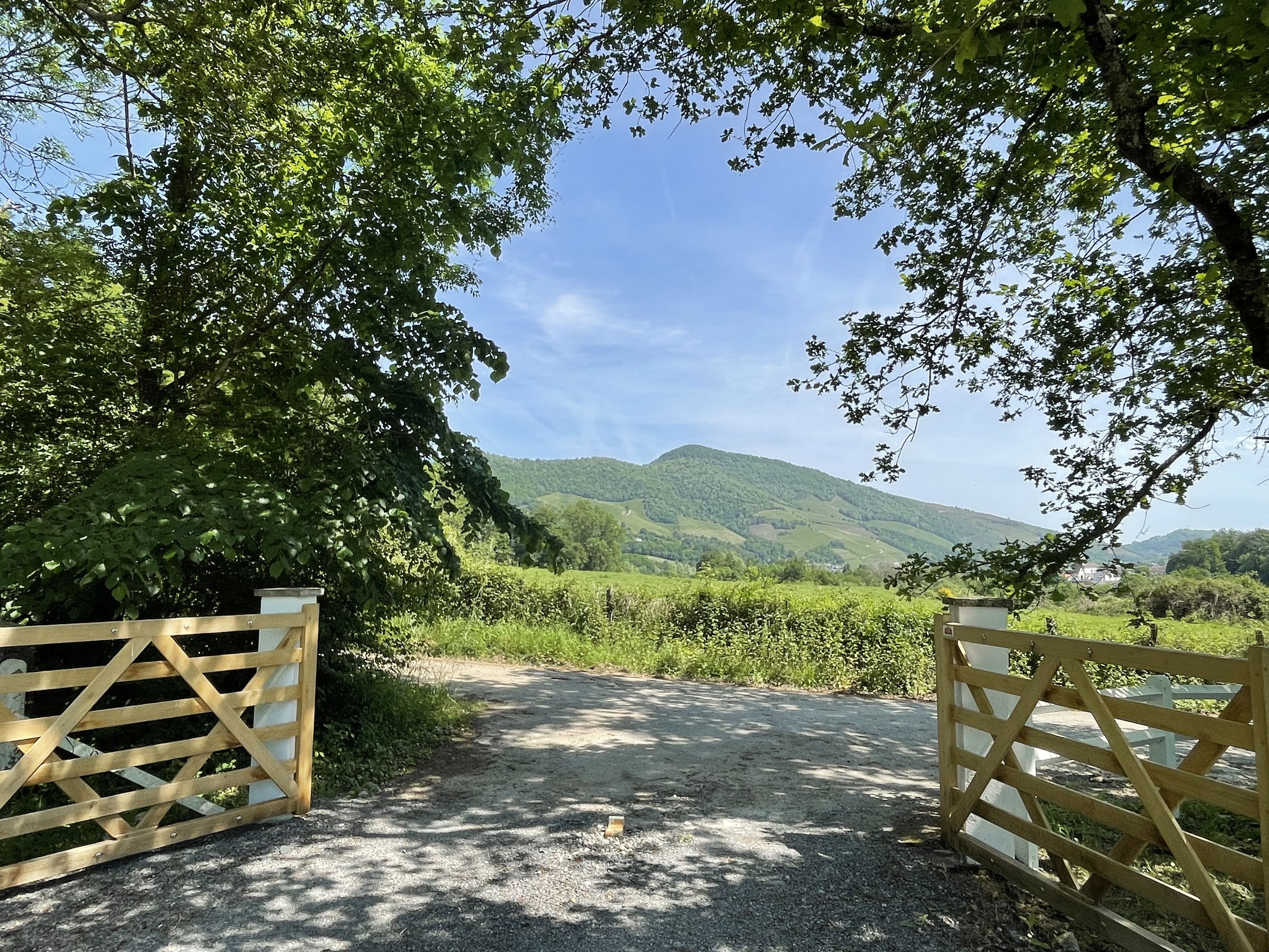 Paulen Pausa - photo 5