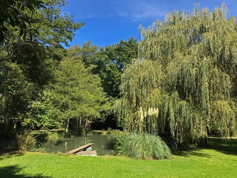 Domaine Laborde - Centre naturiste, Paulhiac - photo 5