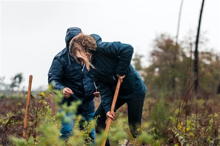 Participez à la replantation de la forêt Participez à la replantation de la forêt