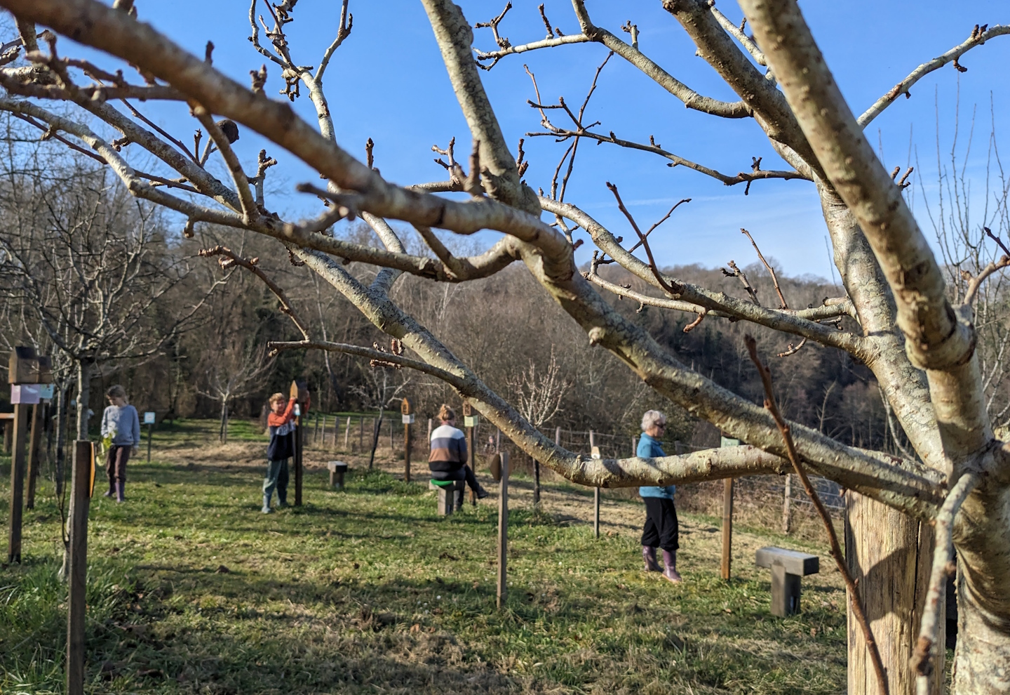 Pause Abeilles, Guiche - photo 5