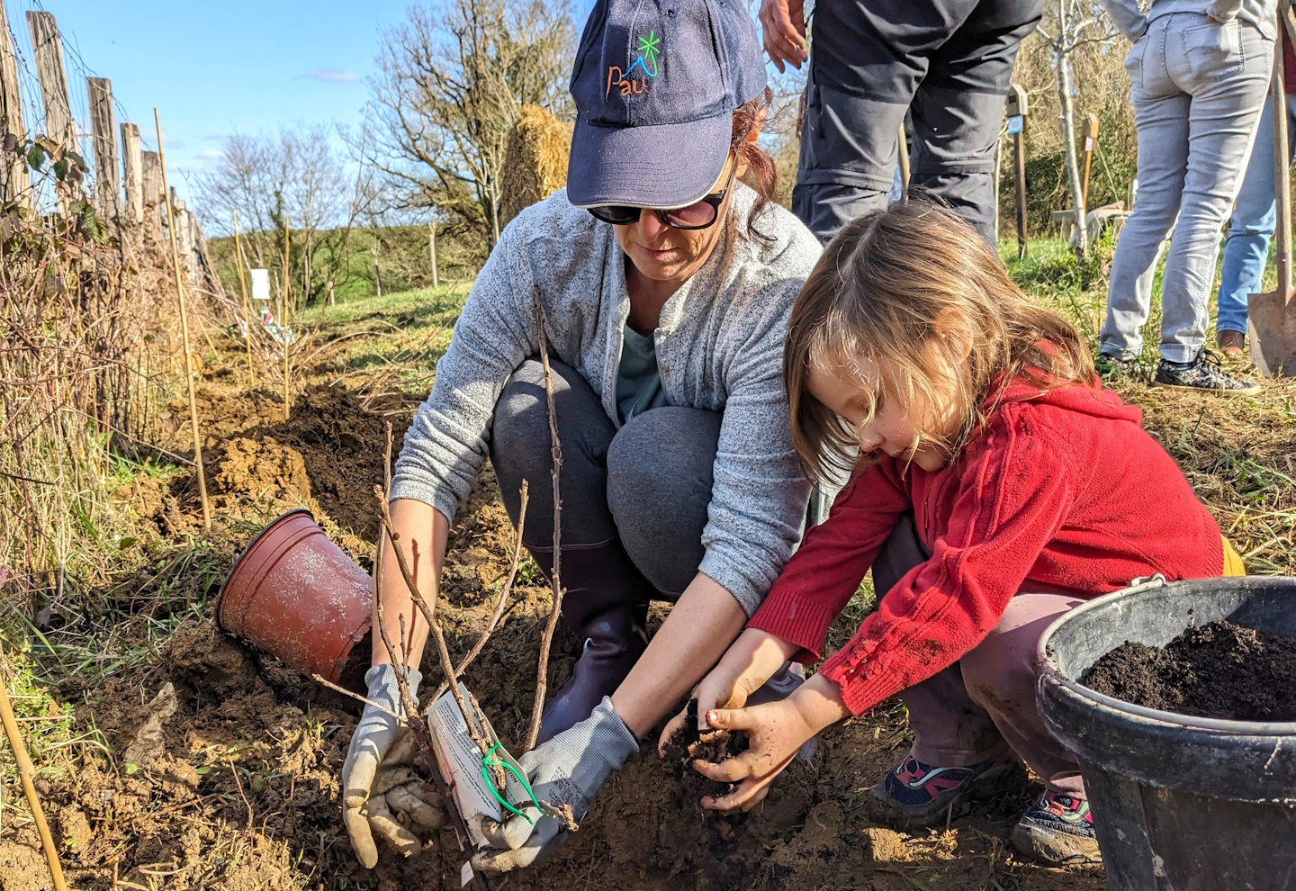 Pause Abeilles, Guiche - photo 2