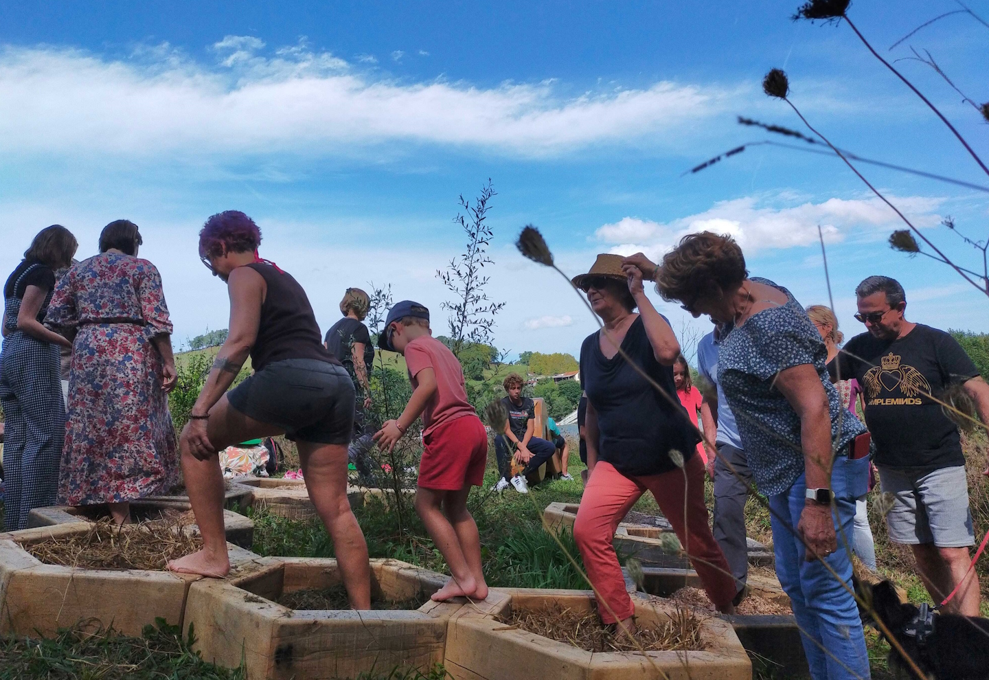 Pause Abeilles, Guiche - photo 4