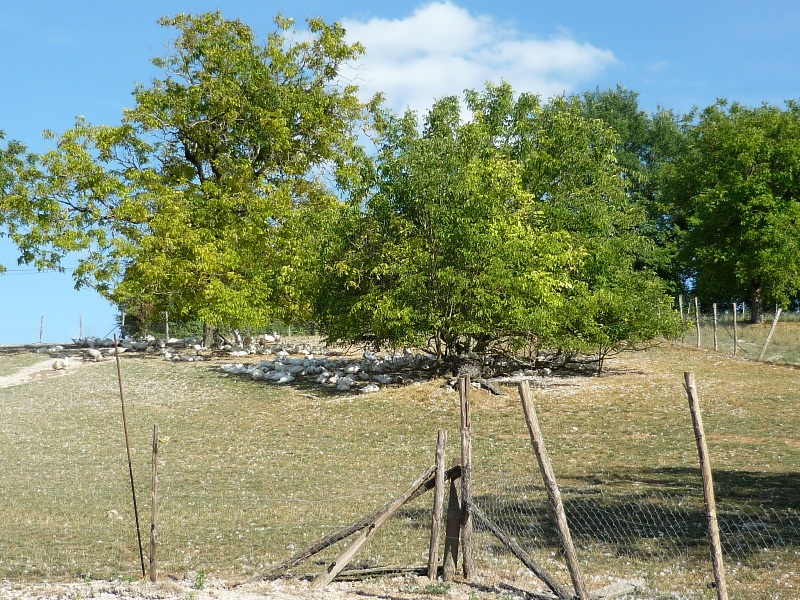 Ferme de Puypelat - Produits cuisinés (canards gras) — photo 2