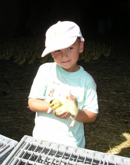 Ferme de Puypelat - Produits cuisinés (canards gras) — photo 3