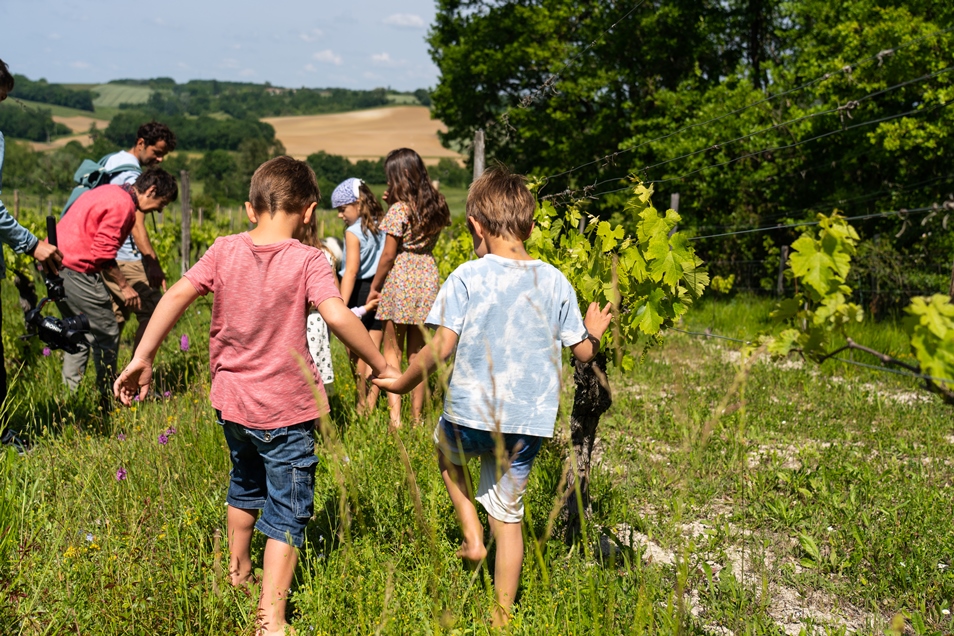 Domaine Les Hauts de Riquets, Baleyssagues - photo 17