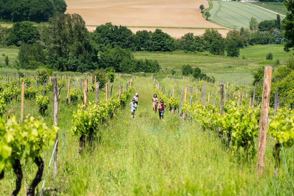 Domaine Les Hauts de Riquets, Baleyssagues - photo 24