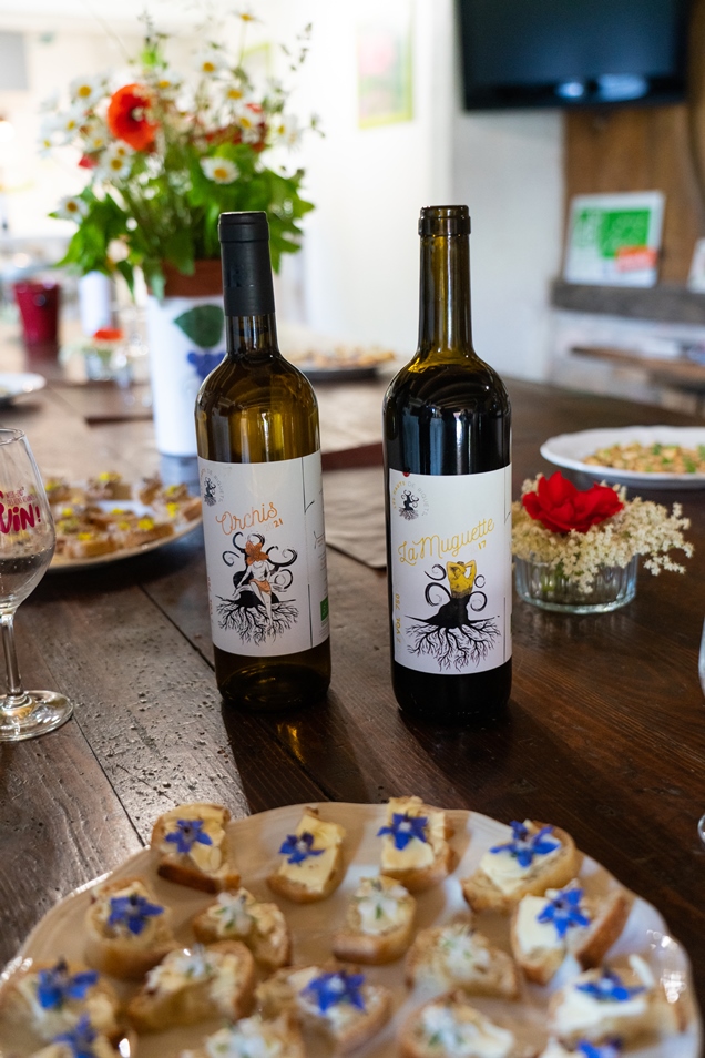 Domaine Les Hauts de Riquets - photo 4