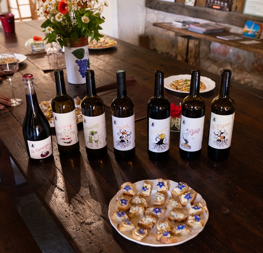 Domaine Les Hauts de Riquets