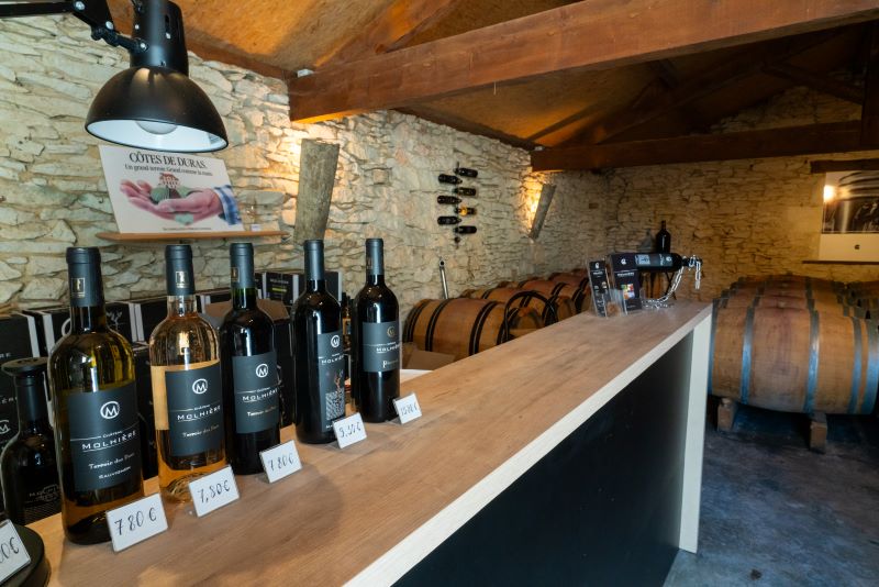 Château Molhière - photo 3