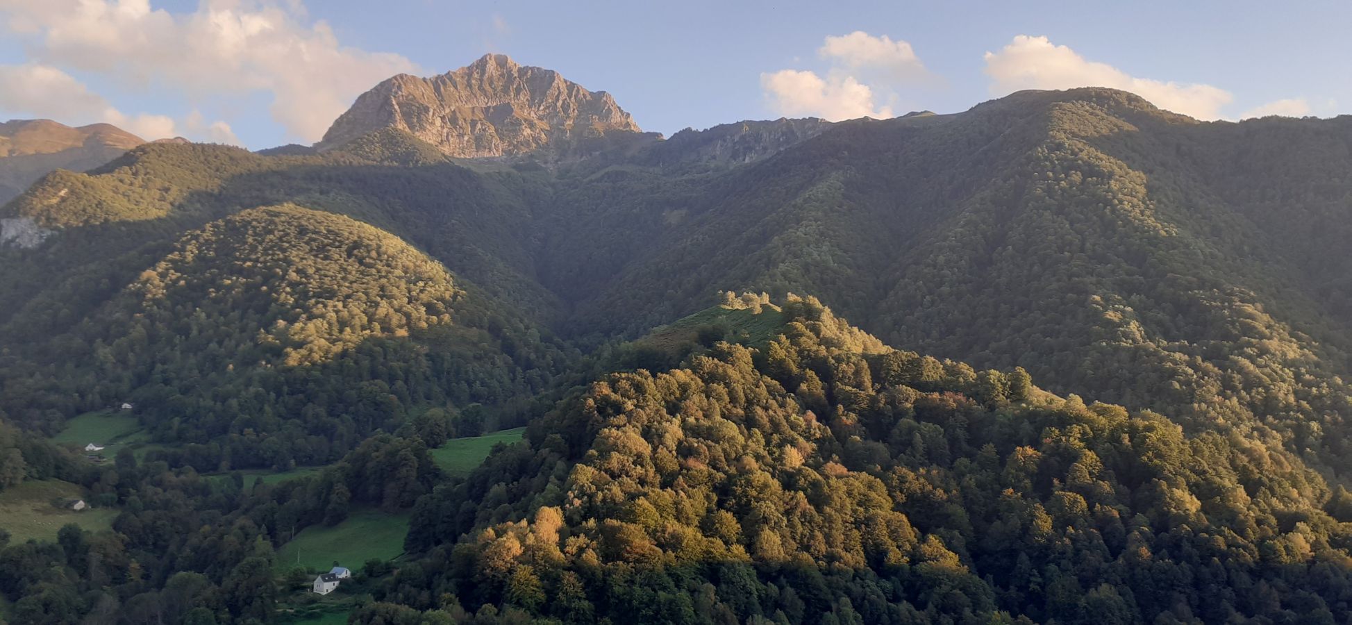 La chambre d'hôte du Bergon - photo 4