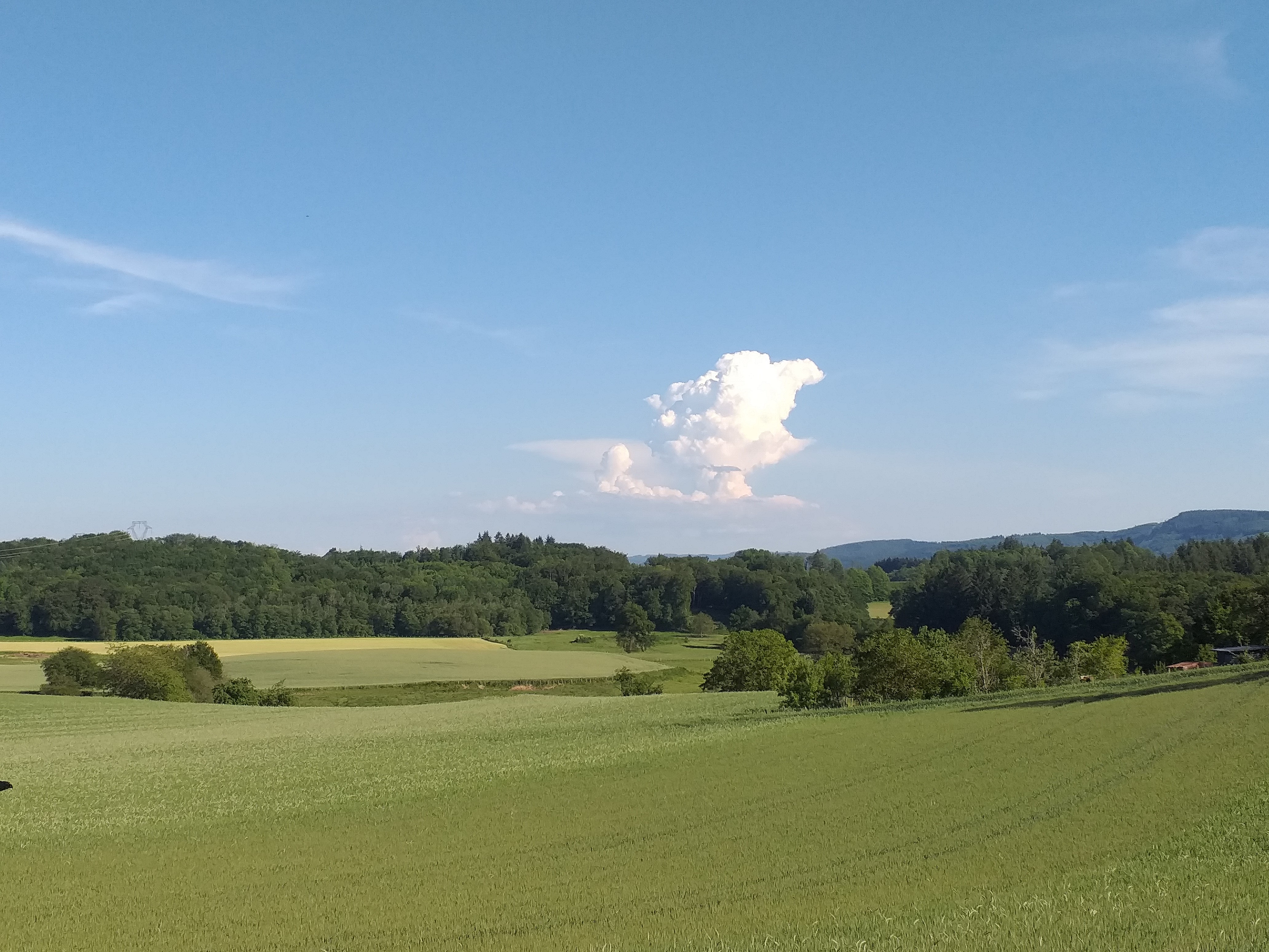 Circuit Pédestre n° CX1 - La Motte Castrale des Brissaud