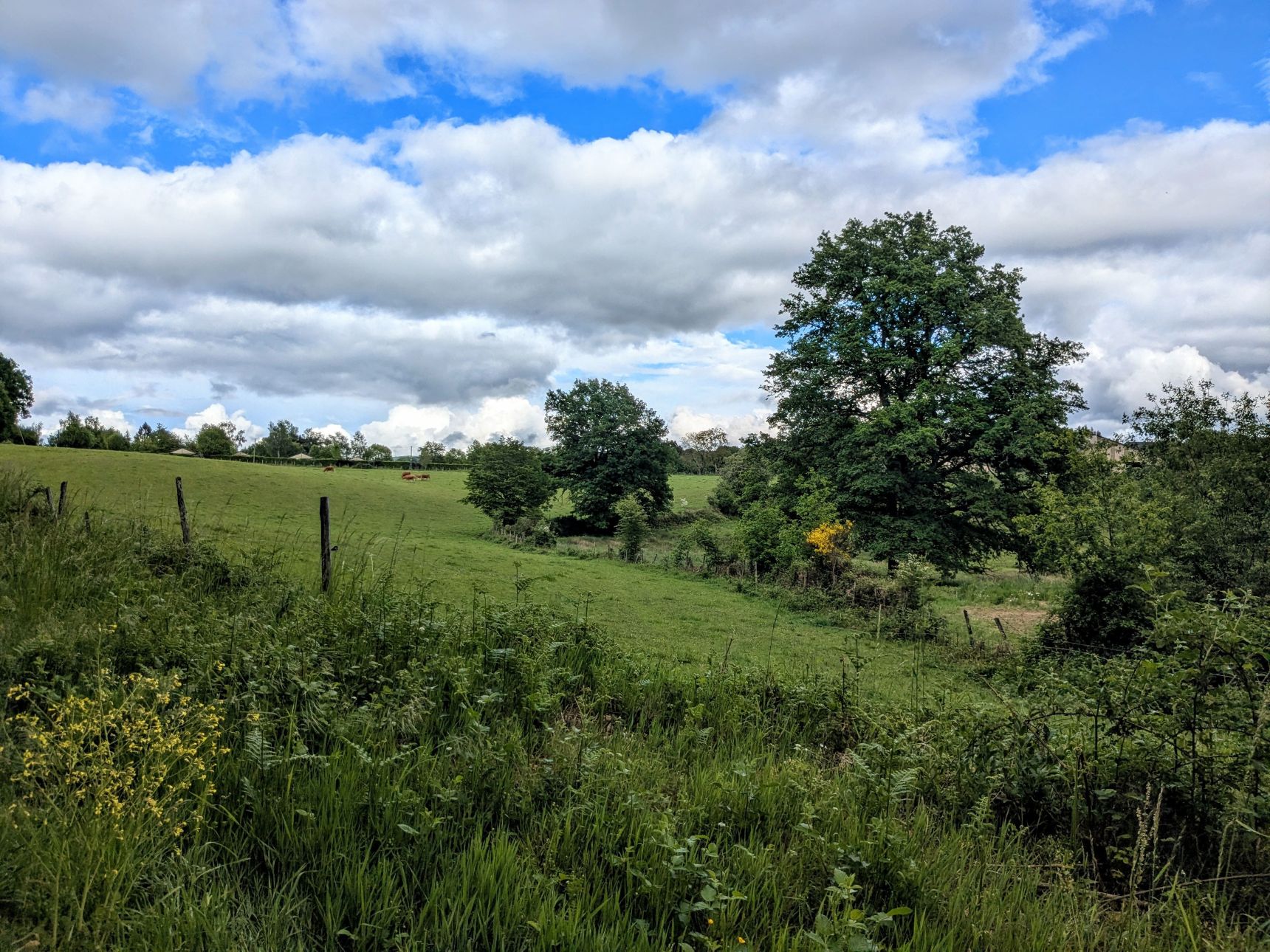 Saint-Dulcet à VTT — photo 3