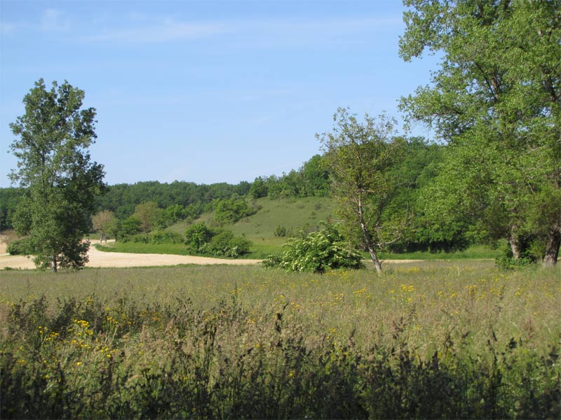 Les Pelouses sèches, Paussac-et-Saint-Vivien - photo 9