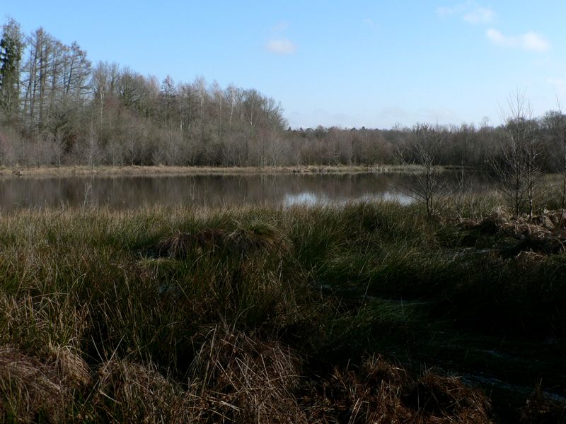 Grand Etang de Saint Estèphe, Saint-Estèphe - photo 6