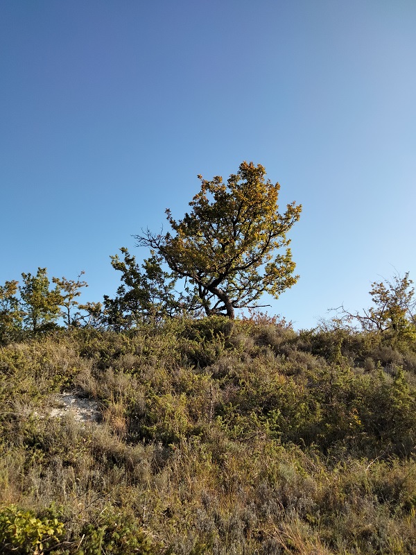 Pech de Pasture, un belvédère sur le Lot et le Tolzac, Pinel-Hauterive