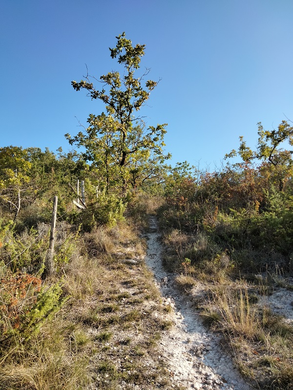 Pech de Pasture, un belvédère sur le Lot et le Tolzac, Pinel-Hauterive - photo 4