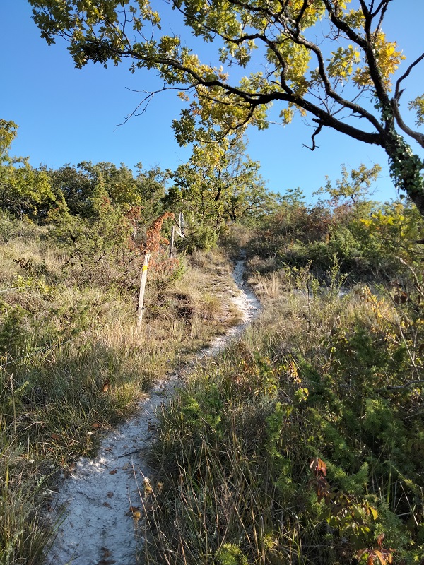Pech de Pasture, un belvédère sur le Lot et le Tolzac, Pinel-Hauterive - photo 7