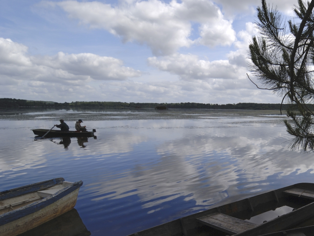 Pêche sur l'Etang Blanc — photo 3