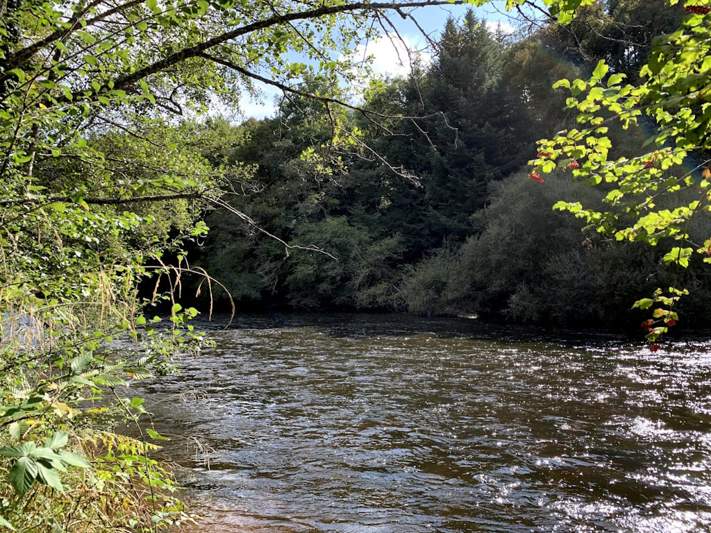 Parcours de pêche à la mouche sur la Vienne du Moulin de l'Artige — photo 3