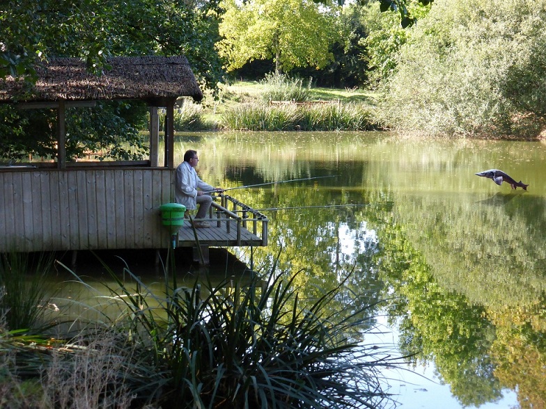 La Clé des Champs, Scillé - photo 14