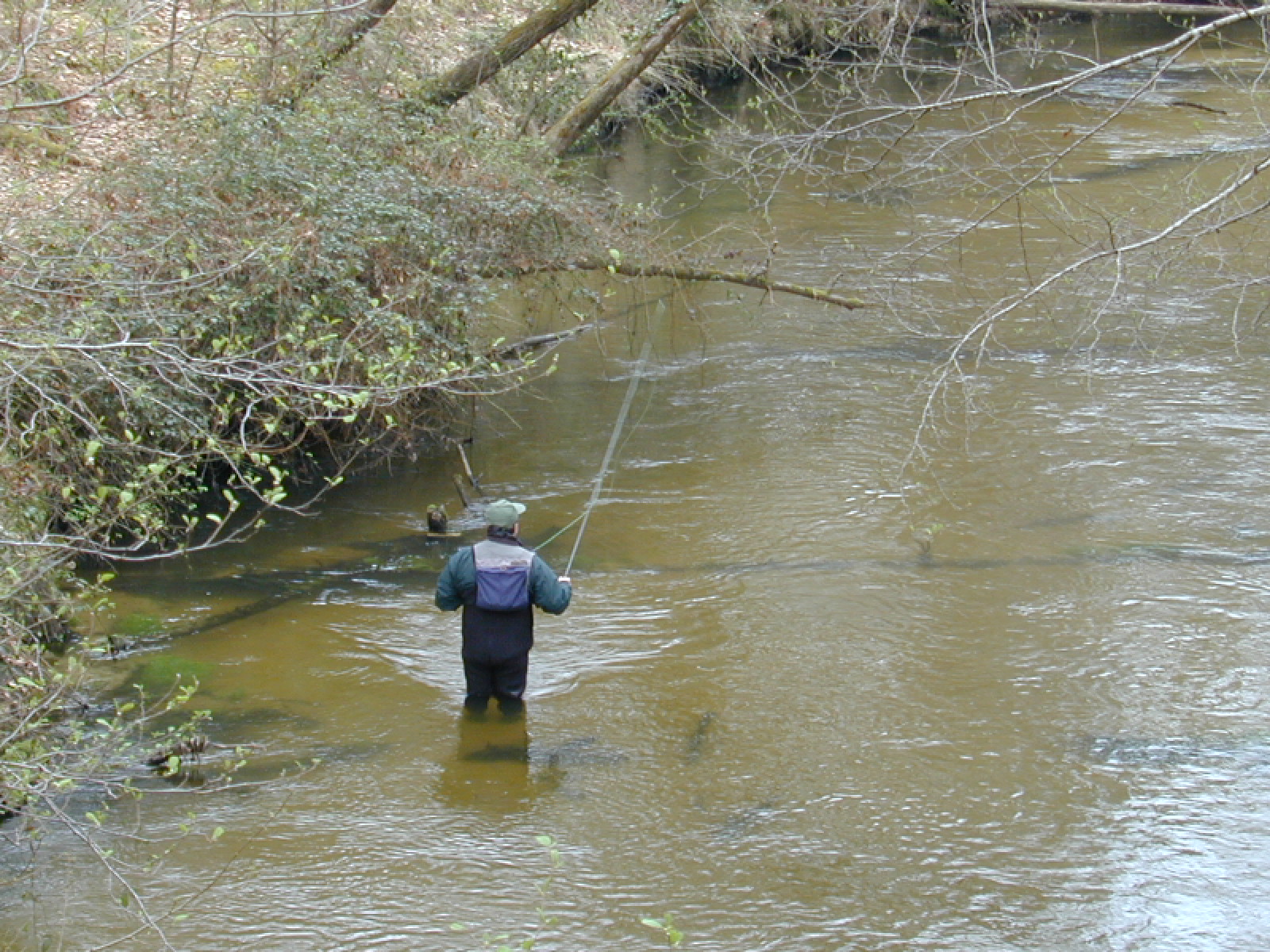 A Belhade, un château, une fontaine guérisseuse et un arbre magique, Belhade - photo 4