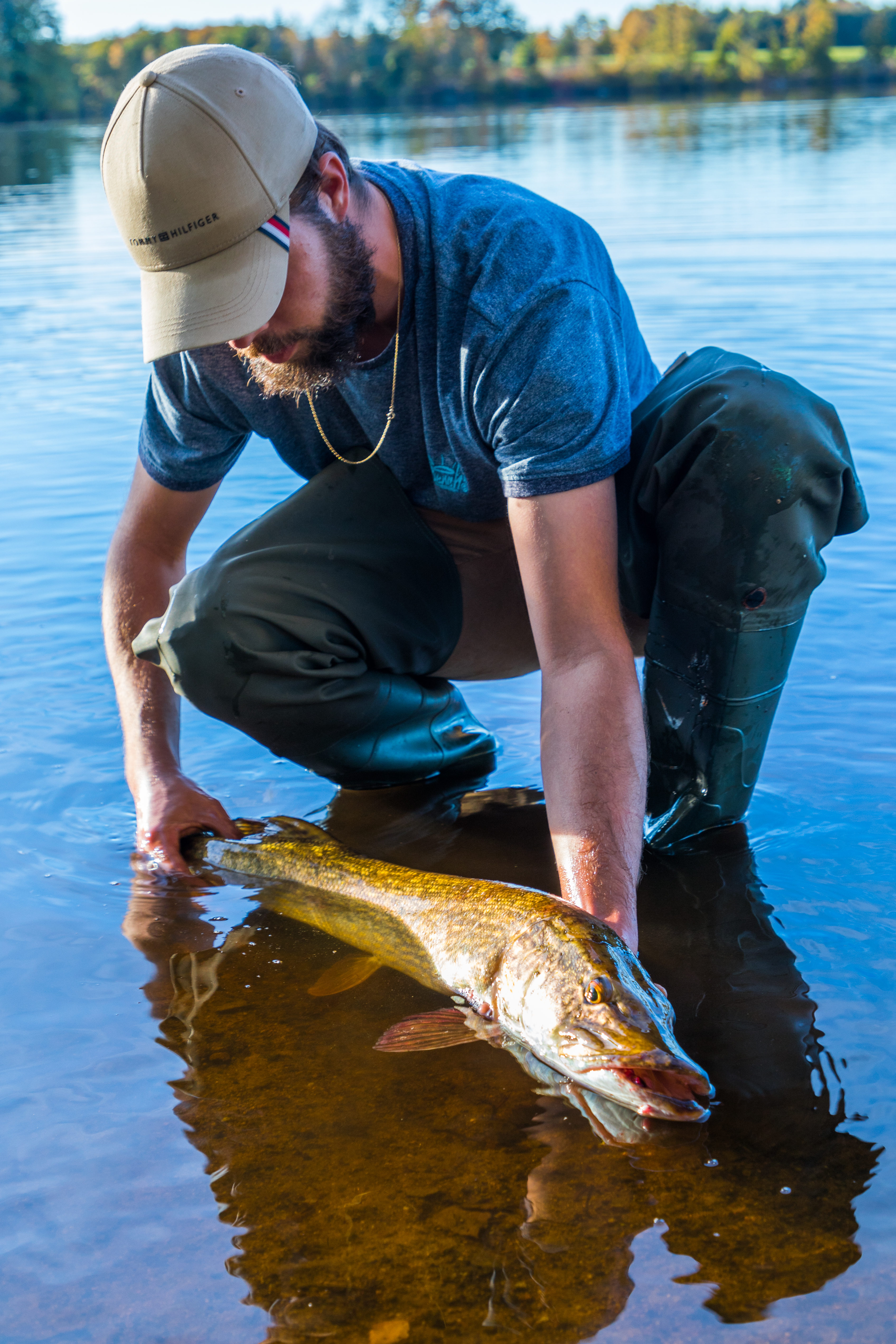 Pêche des Carnassiers : Lacustra - photo 5