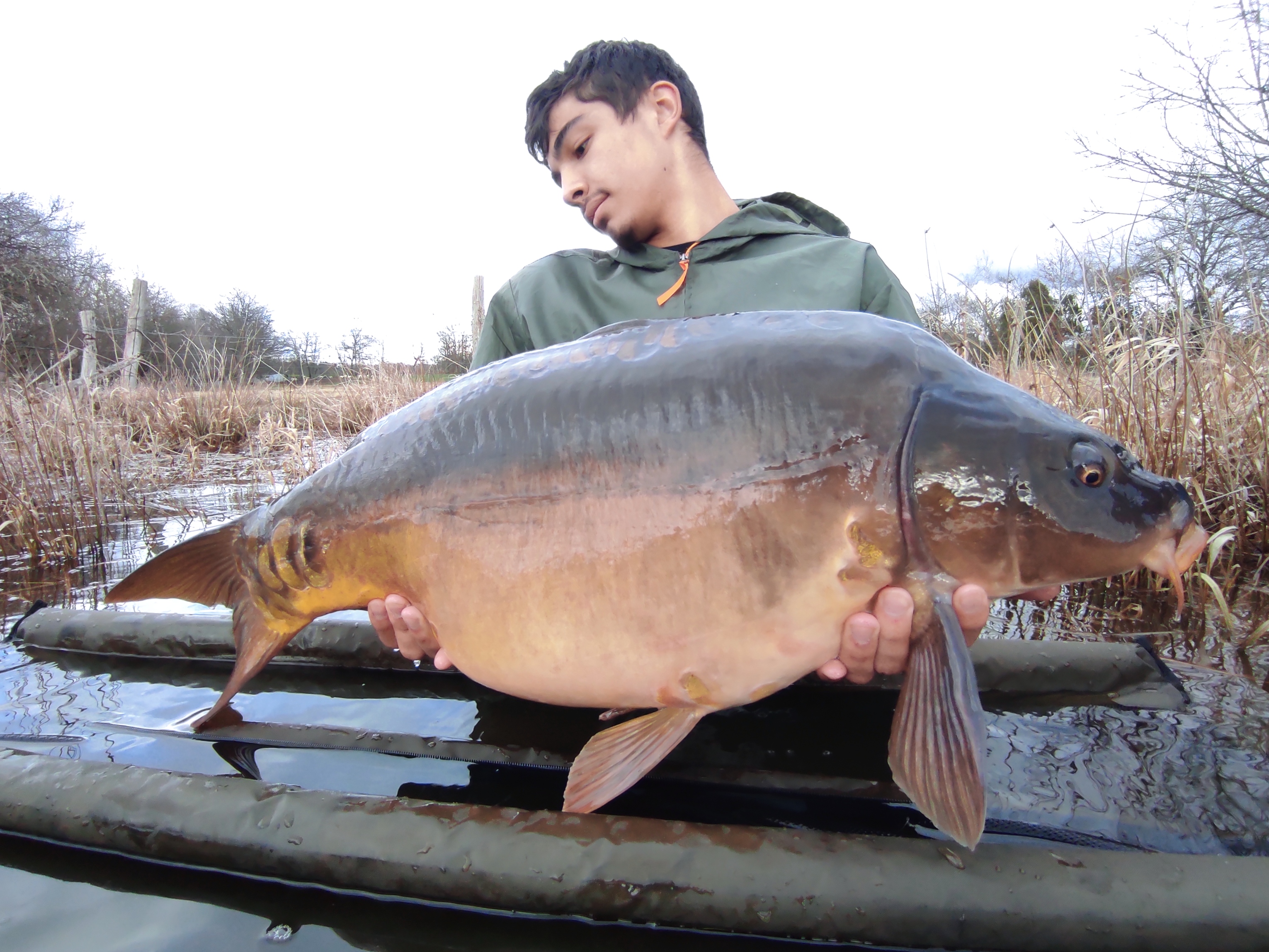 Pêche de la Carpe : Lacustra - photo 5