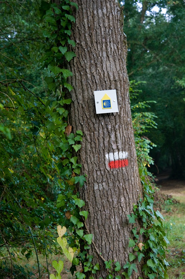 Gîtes de pèlerins - photo 5