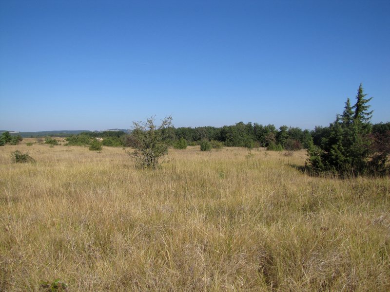 Sentier de découverte du plateau d'Argentine, La Rochebeaucourt-et-Argentine - photo 2