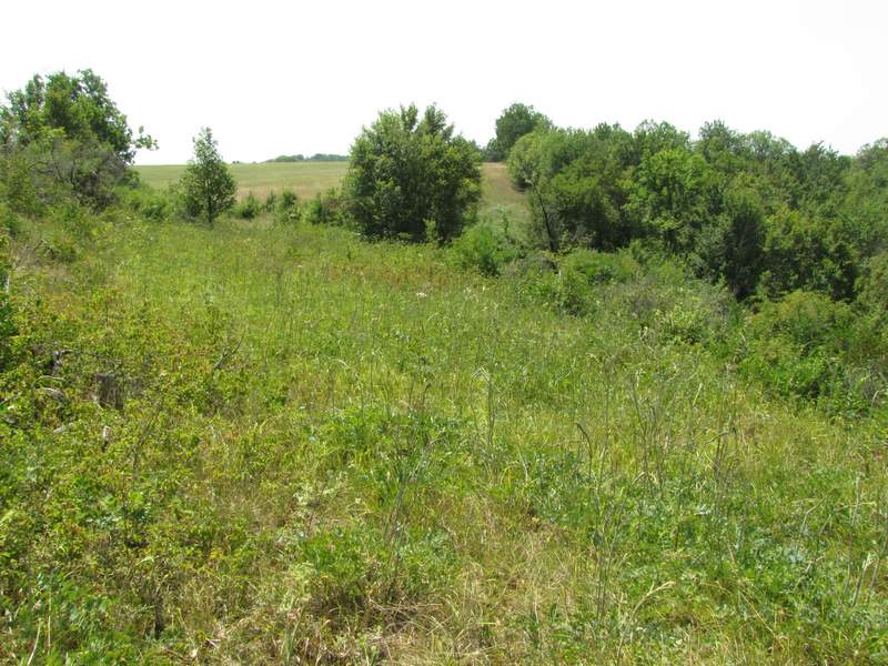 Plaines agricoles de Puymirol, Puymirol - photo 5