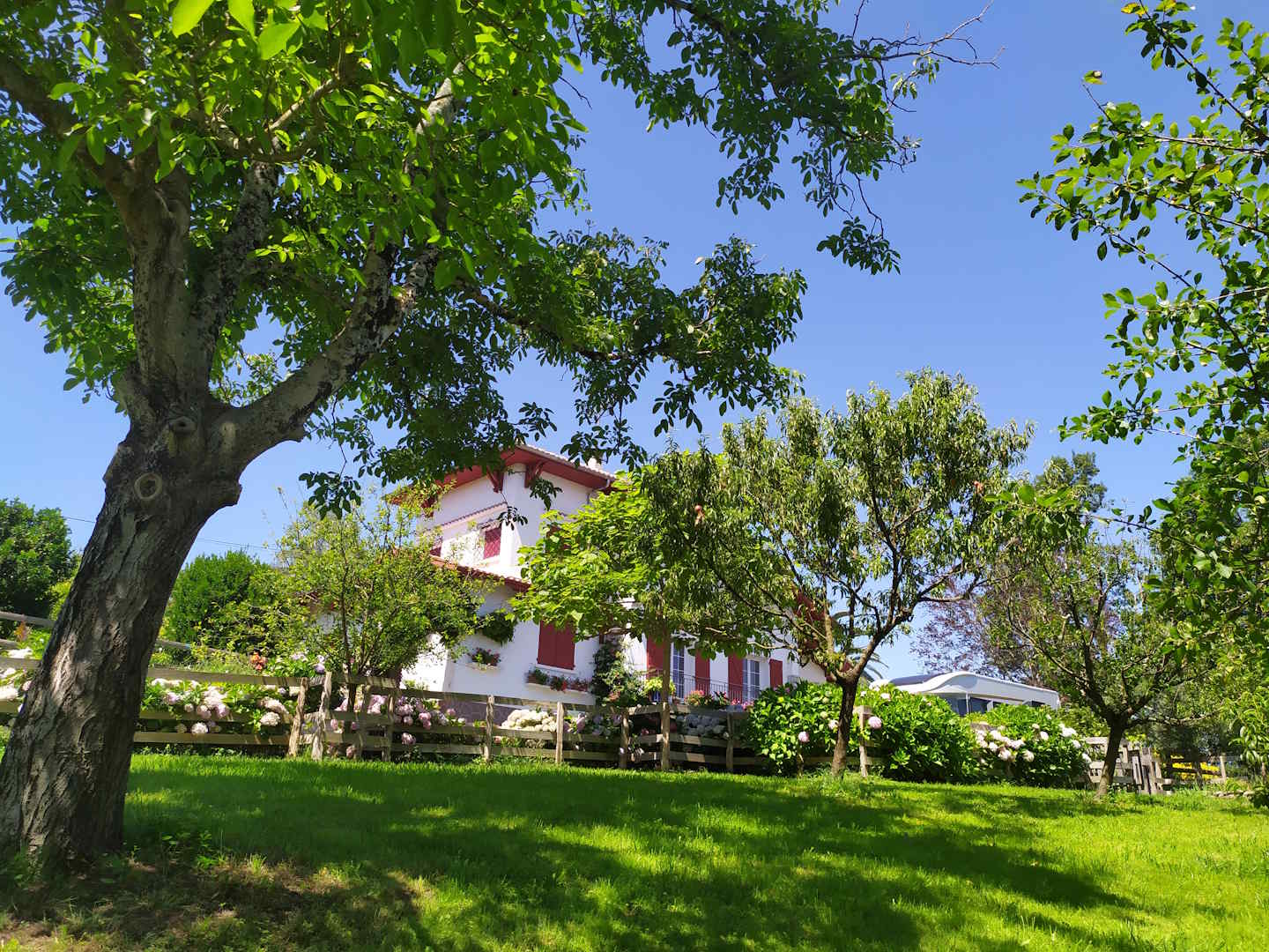 Madame Rose PENAUD - photo 3