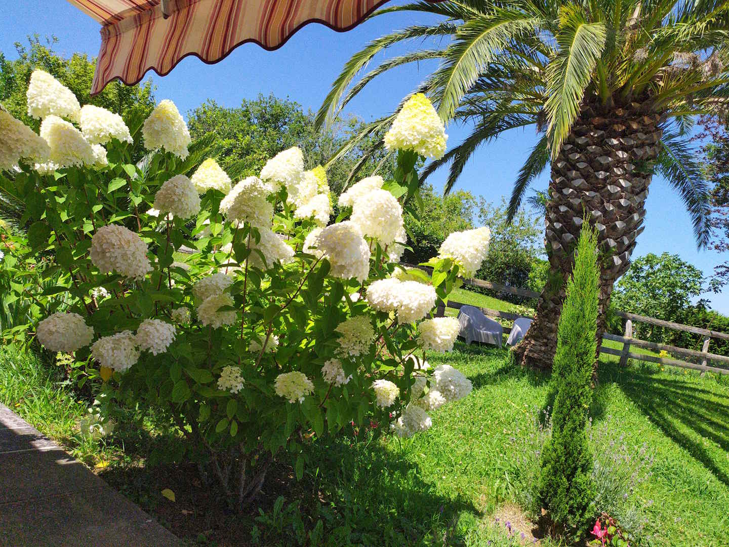 Madame Rose PENAUD, Itxassou - photo 12
