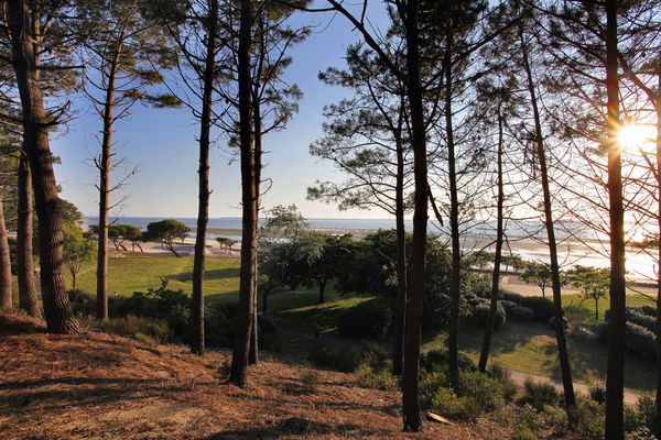 Le Parc Pereire et les Abatilles — Parcs & Jardins à Gironde