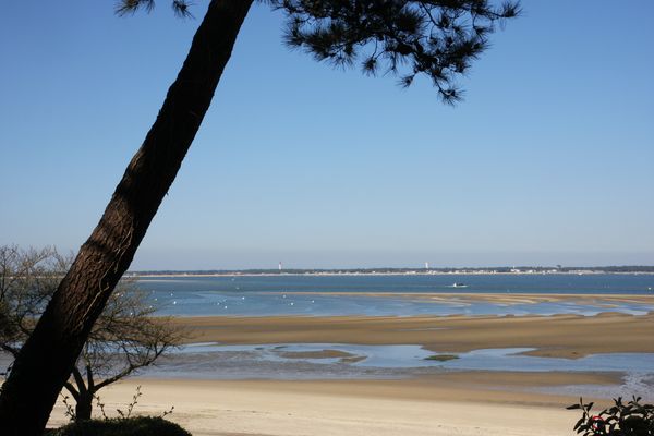 Le Parc Pereire et les Abatilles, Arcachon