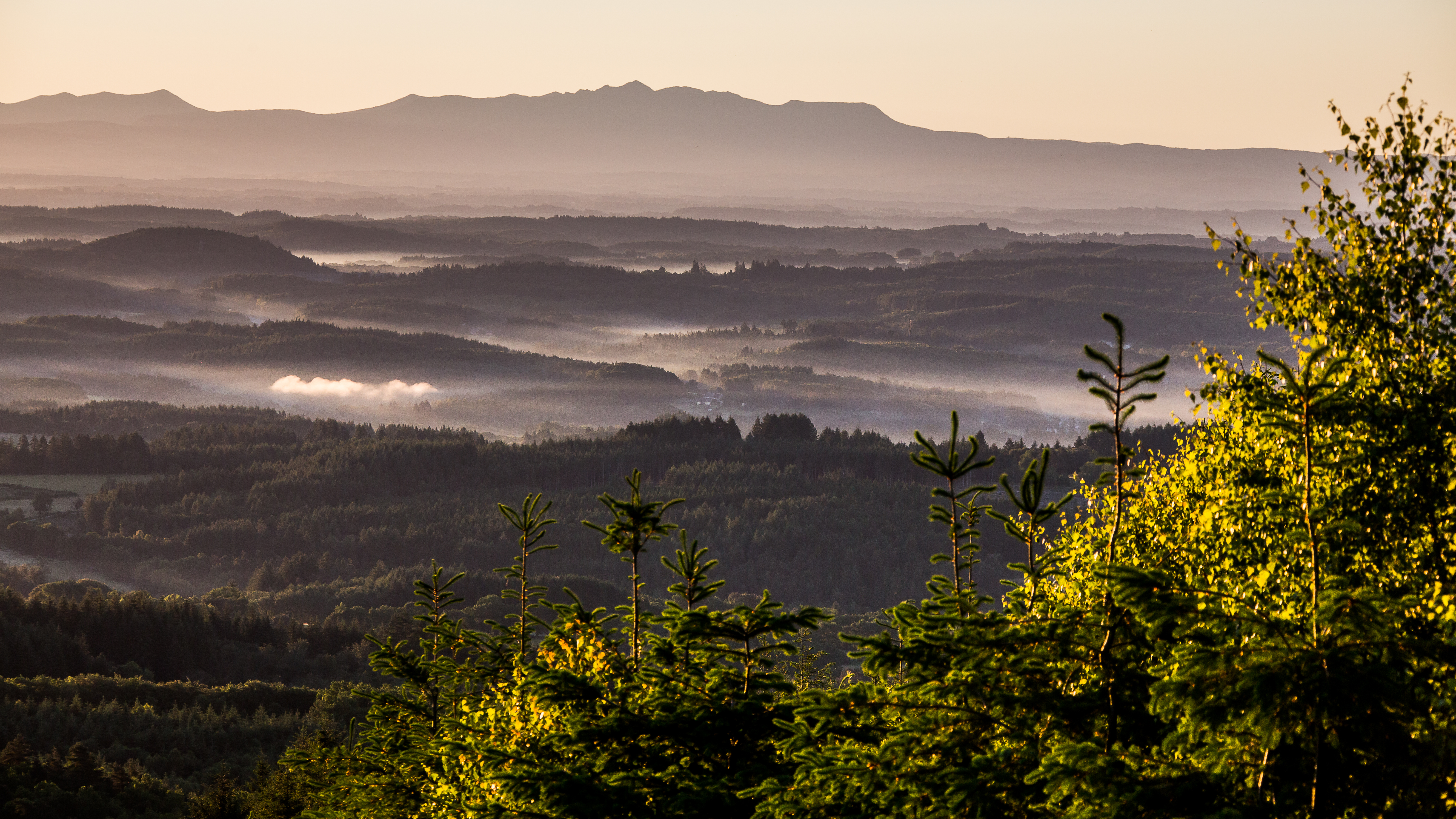 Les Hêtraies de Péret-Bel-Air