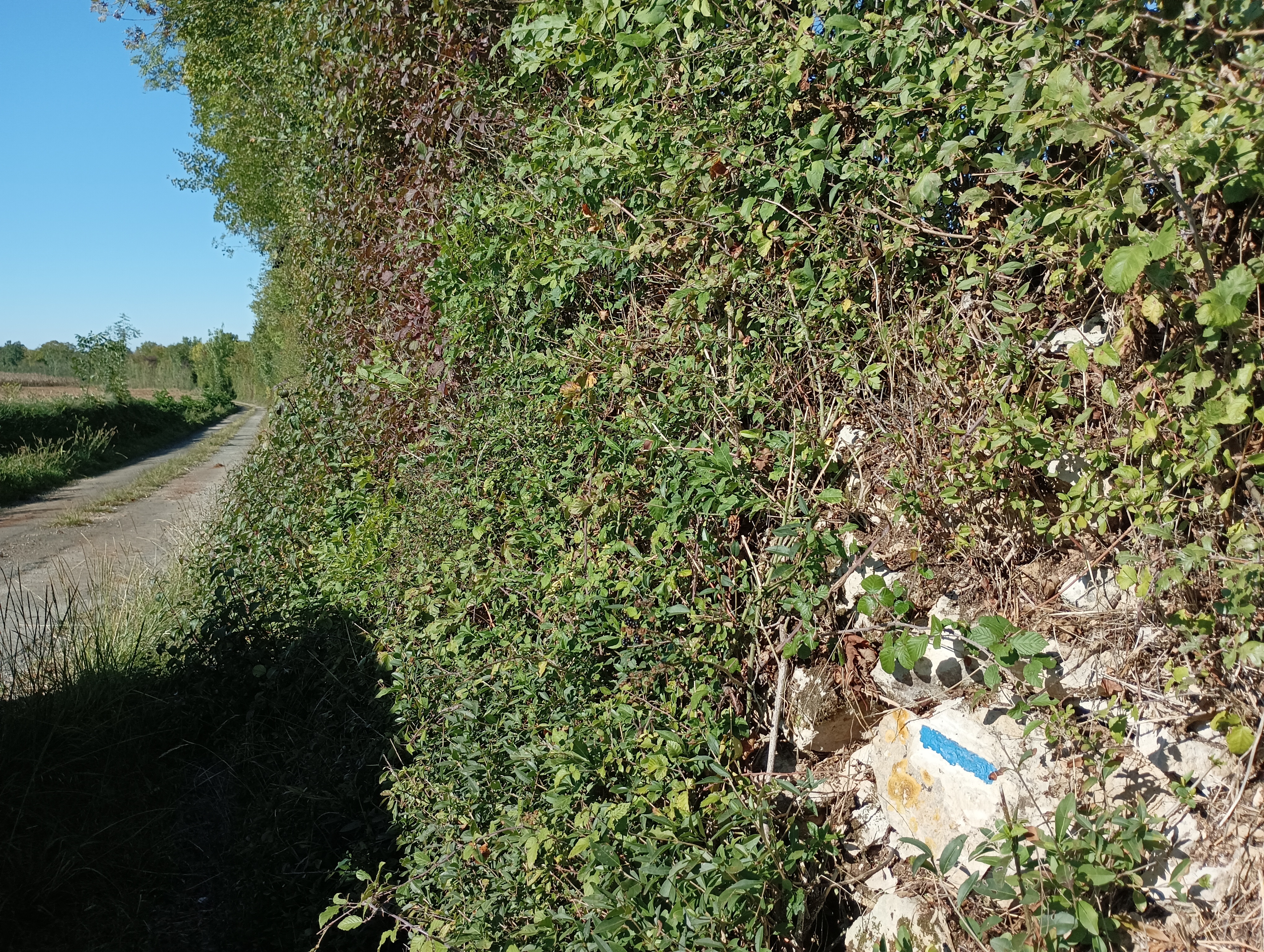 Périgné - Périgné, Périgné - photo 3