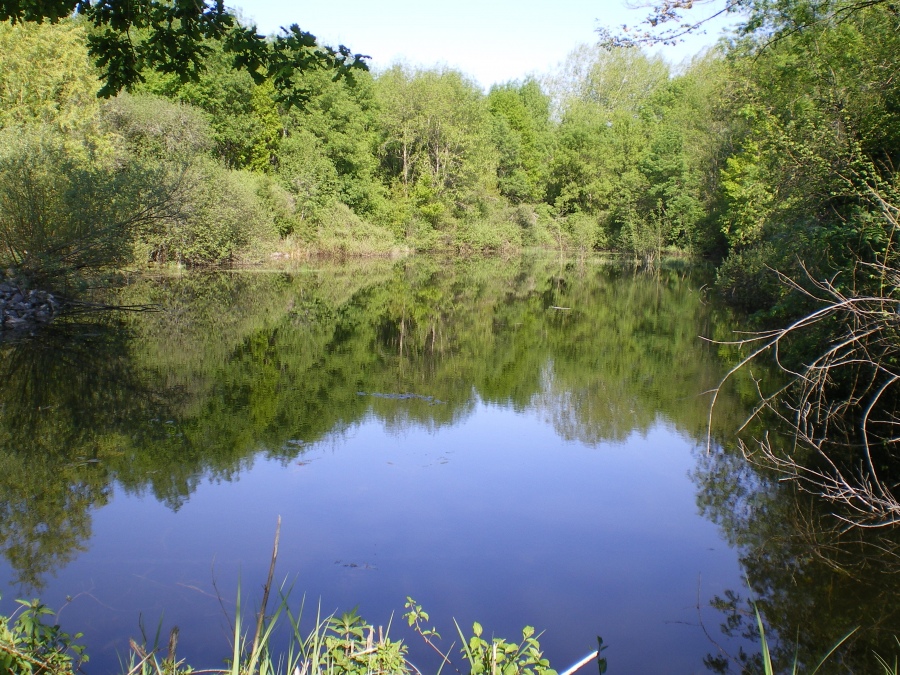 Gîte La Couronne du Moulin du Treuil, Nanteuil-Auriac-de-Bourzac - photo 11