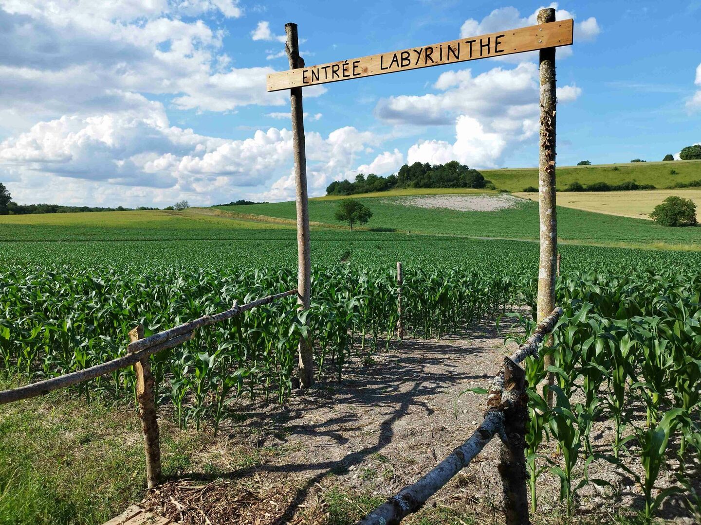 Labyrinthe de Maïs
