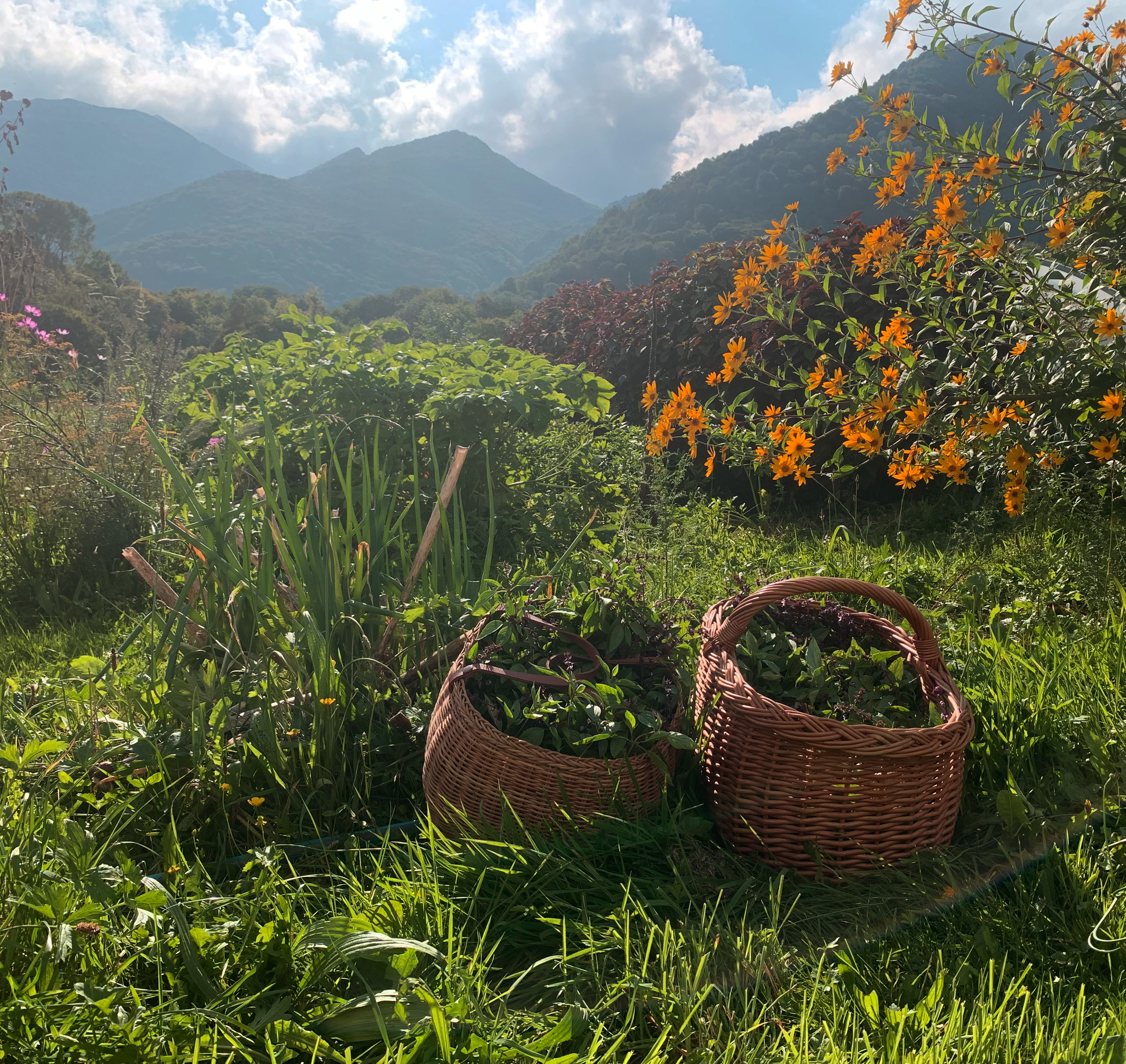 Ici, on observe les trésors de la nature