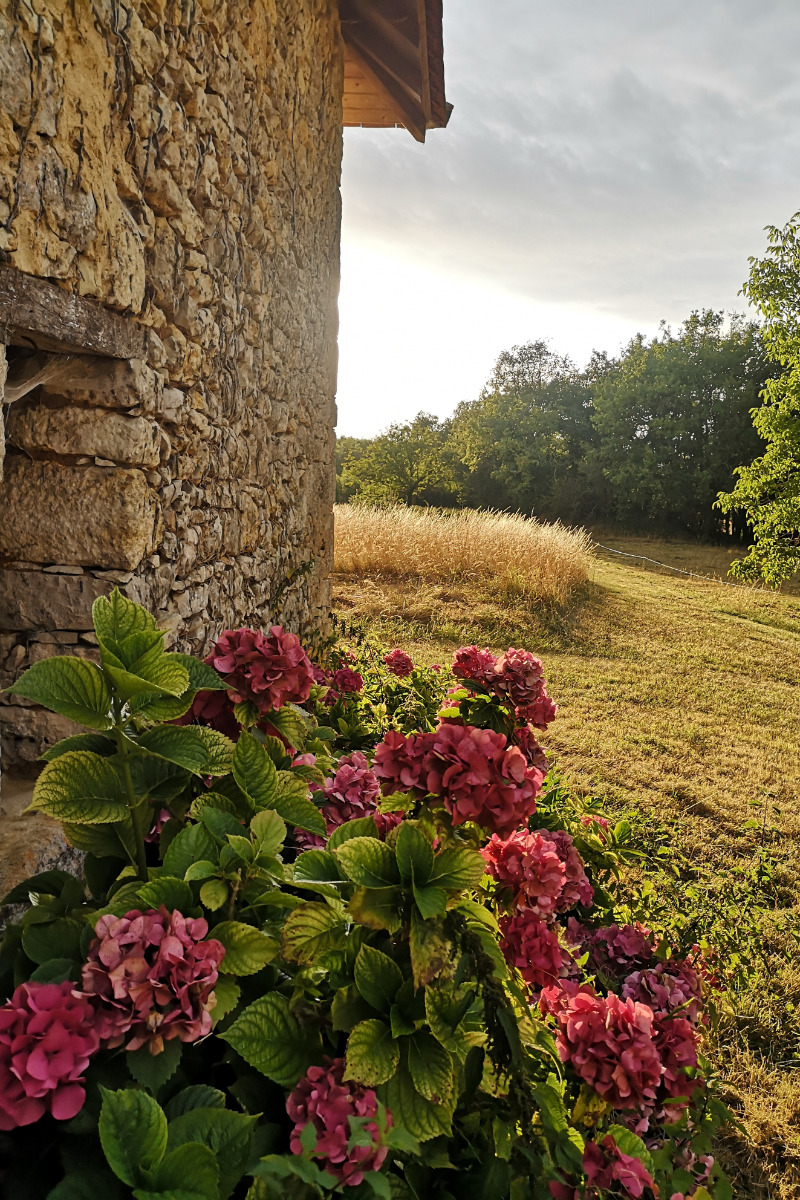 Le Petit Maine, Coulaures - photo 5