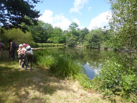 Zone sensible Sabaille, Créon-d'Armagnac - photo 5