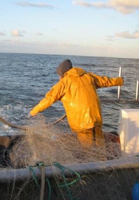 Pescatourisme