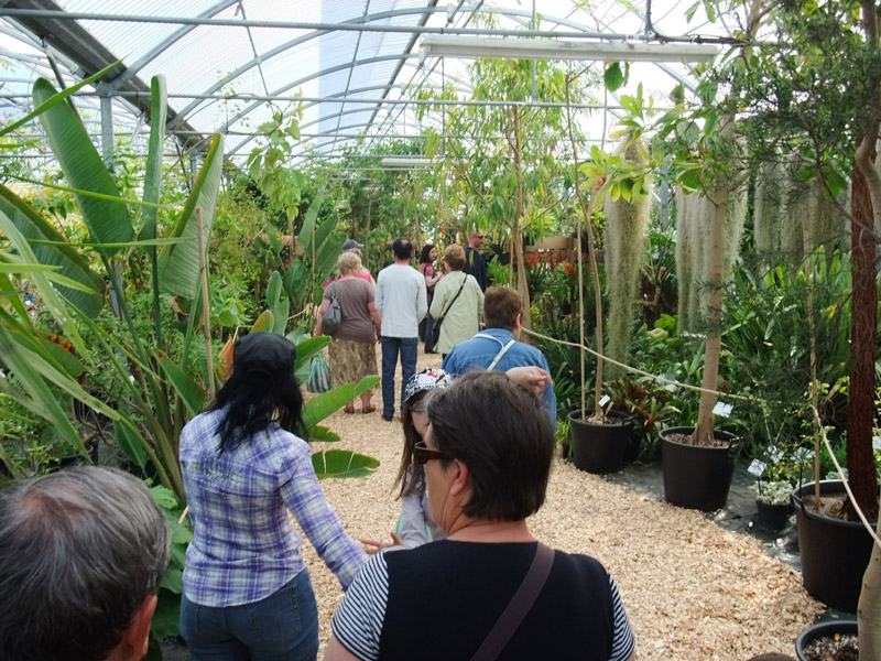Forêt du Bourgailh, Pessac - photo 8