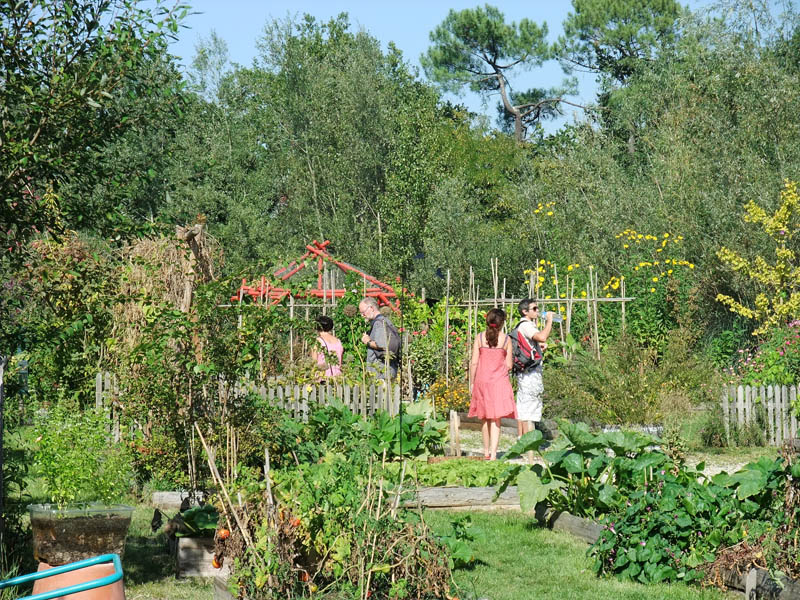 Forêt du Bourgailh, Pessac - photo 7