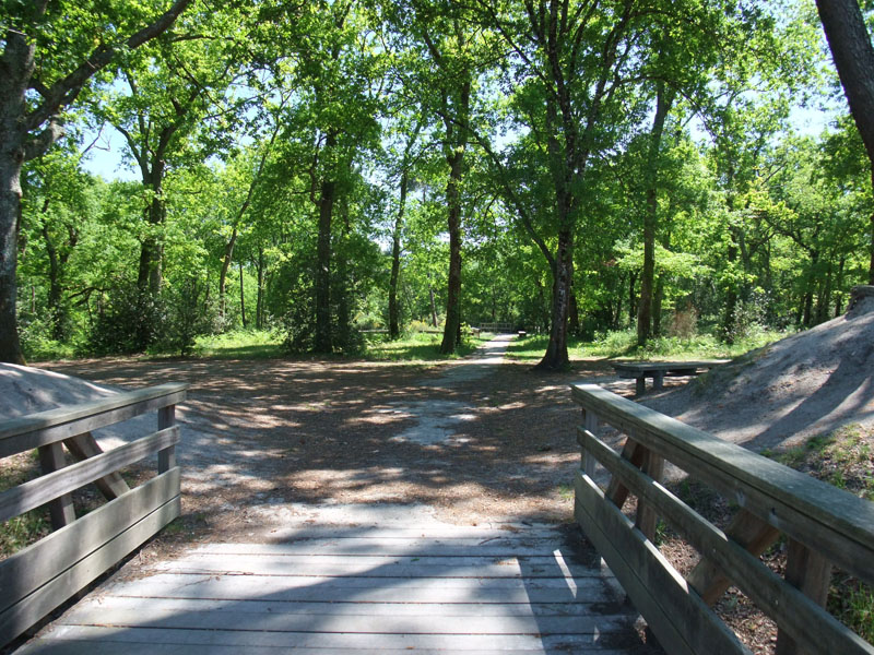 Forêt du Bourgailh, Pessac