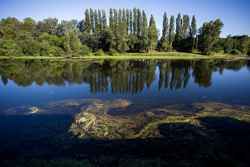 Village de Pessac-sur-Dordogne, Pessac-sur-Dordogne - photo 2