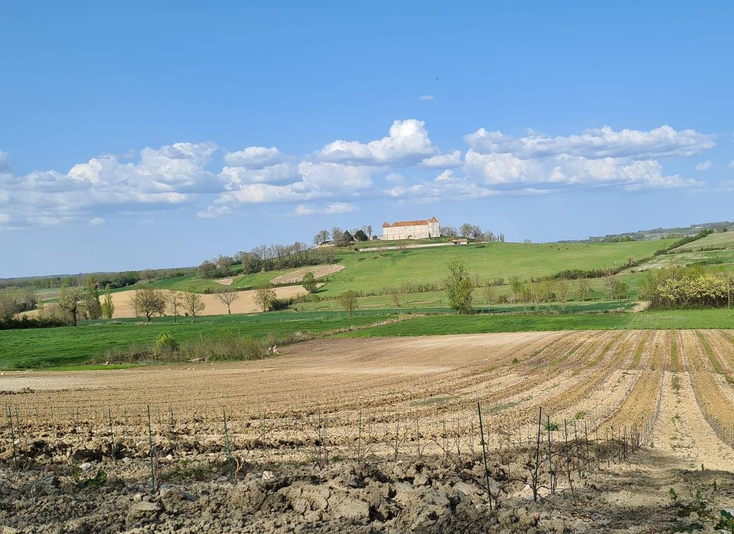 Domaine du Petit Loubès — photo 3
