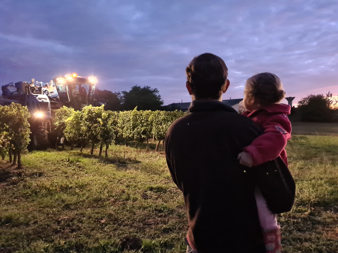 Domaine du Petit Loubès