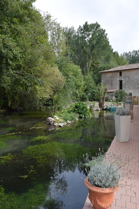 Petit Courault, Pamproux - photo 5